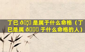 丁巳 🦈 是属于什么命格（丁巳是属 🕊 于什么命格的人）